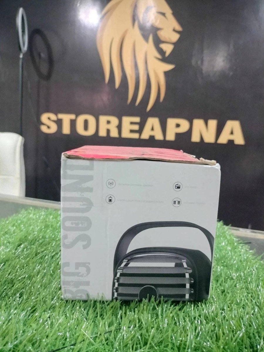 "Karaoke Party Speaker – Mic, FM, Bluetooth & Rechargeable - StoreApna